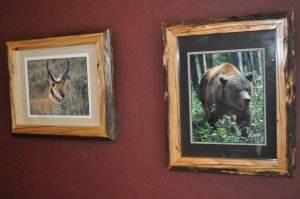 Picture Frames   